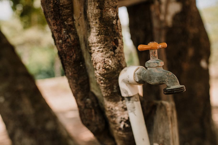 Faucet, macro, panama, steel, tree, tree trunk, metal, close-up HD wallpaper