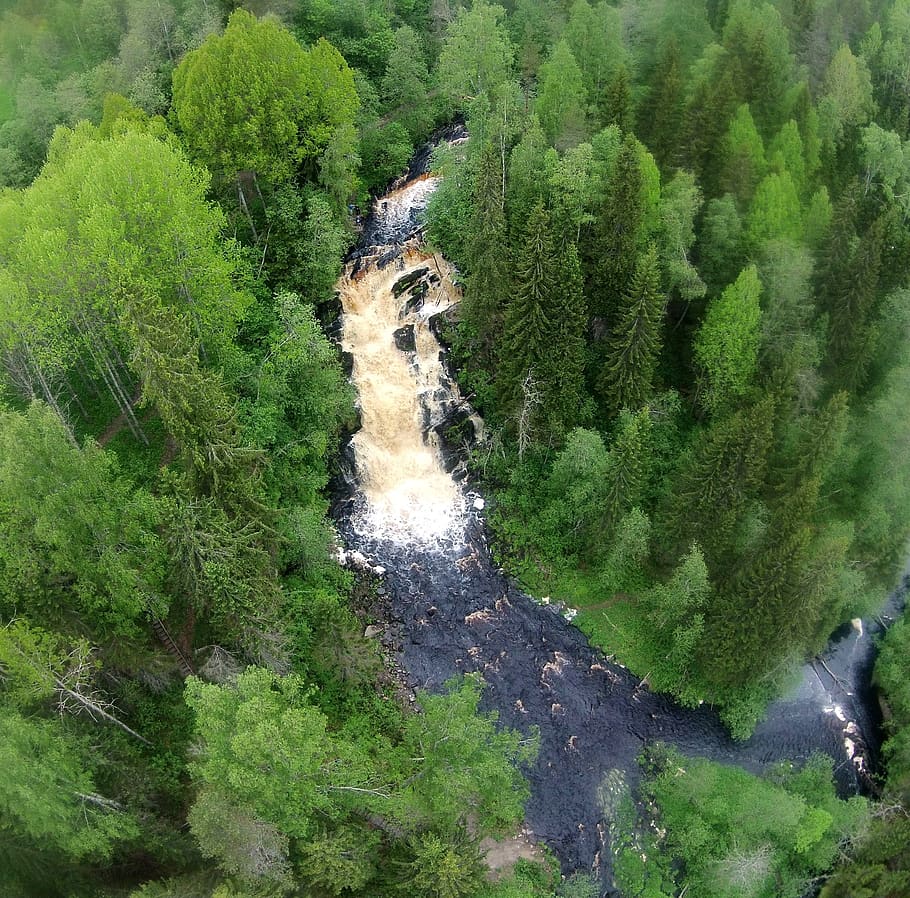 russia, republic of karelia, waterfall, river, ladoga, plant HD wallpaper