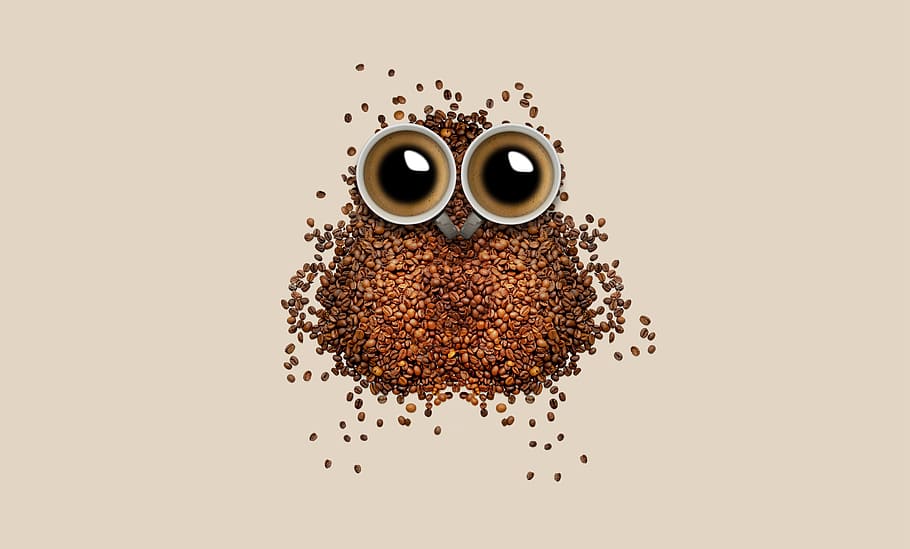 coffee, cup, bean, food, dark, brown, drink, hot, owl, studio shot HD wallpaper