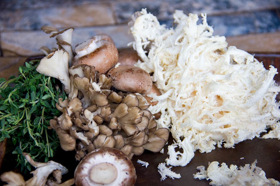 paddenstoelen, thyme, mushrooms, food, food and drink, freshness HD wallpaper