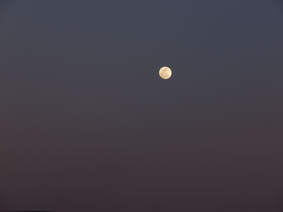 evening, night, sky, moon, tranquil scene, astronomy, space HD wallpaper