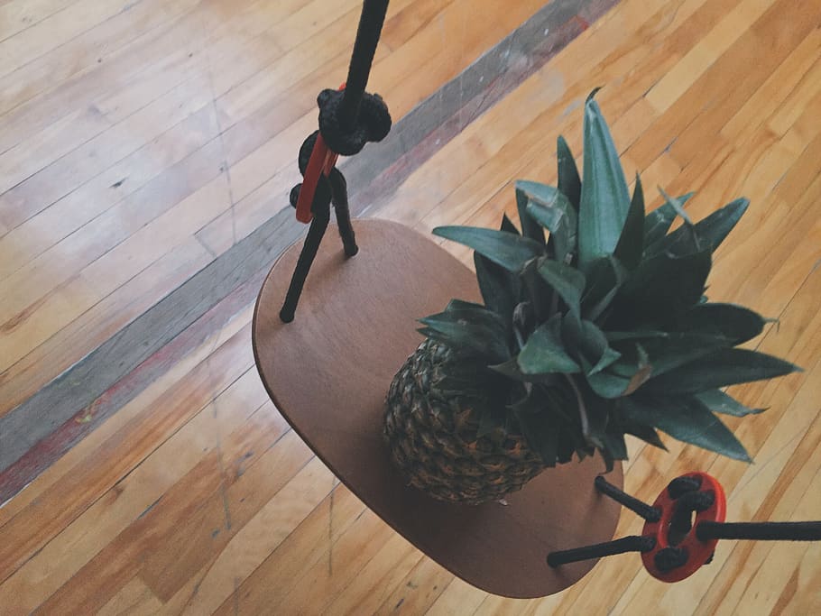swing, pineapple, high angle view, wood, indoors, flooring HD wallpaper