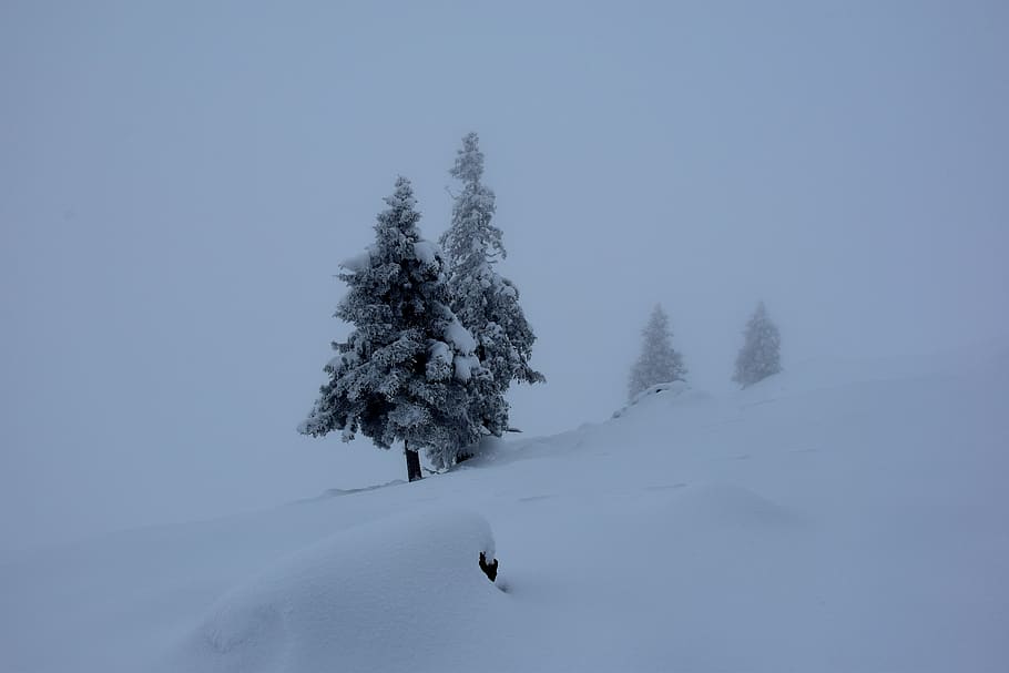 cold temperature, snow, winter, beauty in nature, scenics - nature HD wallpaper