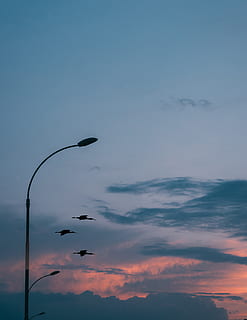 kenya, nairobi, sky, cloud - sky, sunset, beauty in nature HD wallpaper