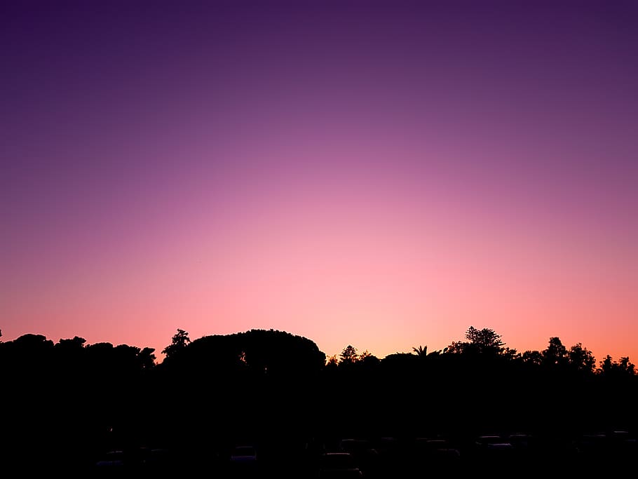 greece, rethimno, trees, colors, sunset, purple, pink, calm HD wallpaper