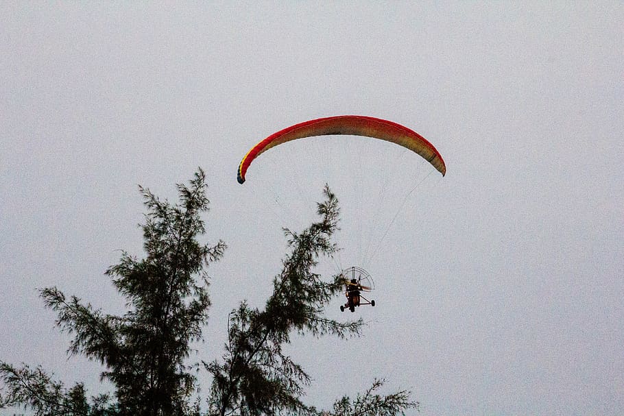 malaysia, langkawi, tree, plant, parachute, paragliding, flying HD wallpaper
