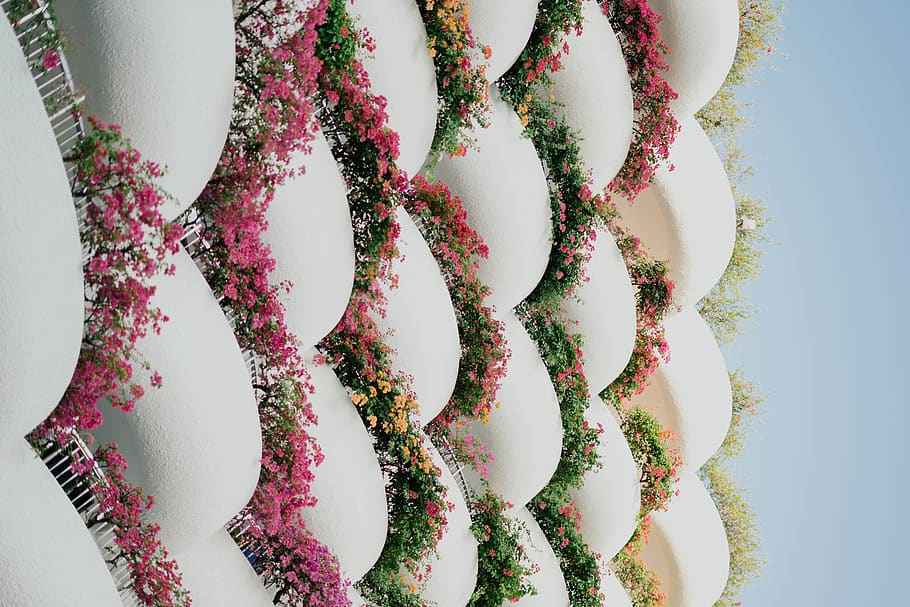 pattern, graphics, art, floral design, ornament, plant, embroidery HD wallpaper