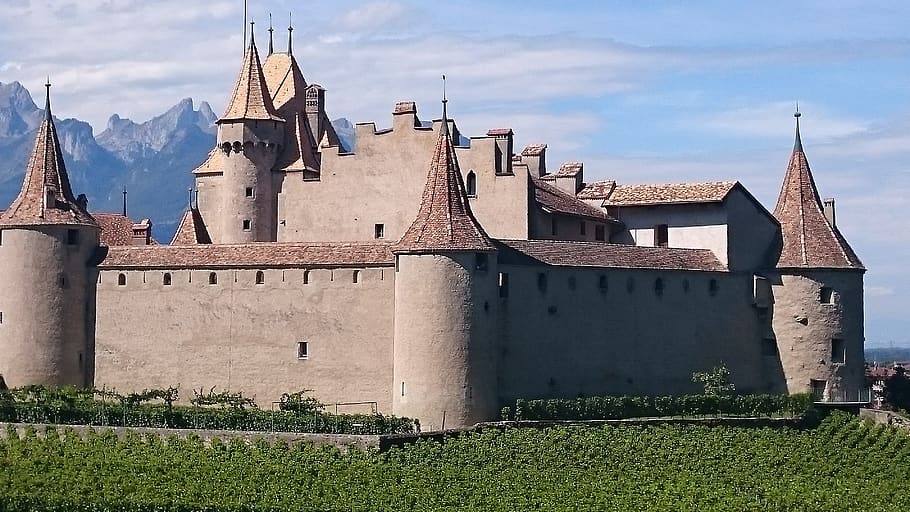 castle, vine, wine, vineyard, landscape, grapes, vineyards HD wallpaper
