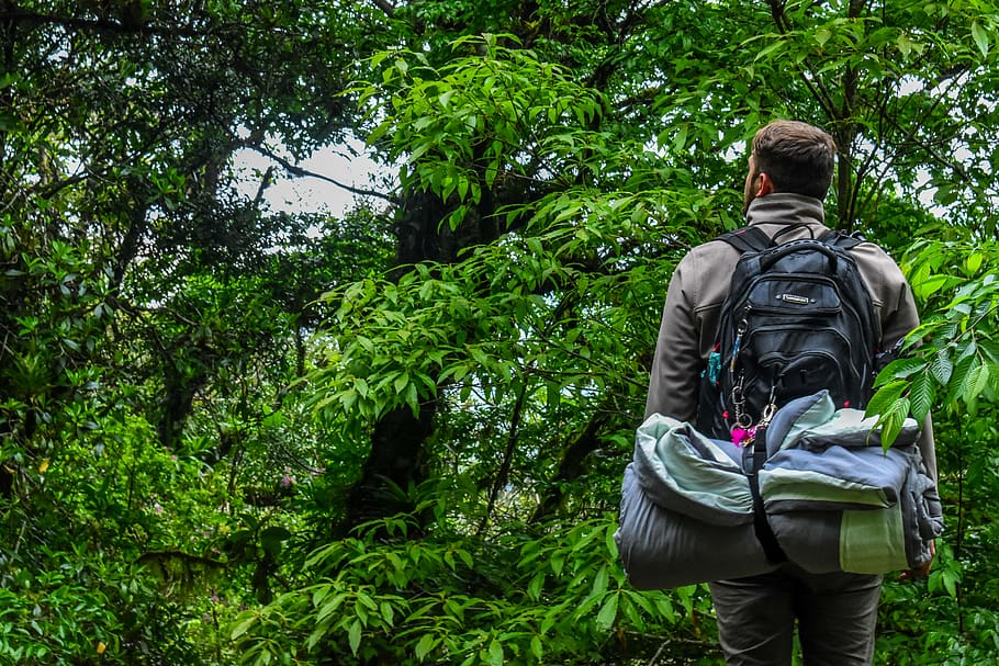 Man Carrying Camping Backpack Standing In-front of Tree, adventure HD wallpaper