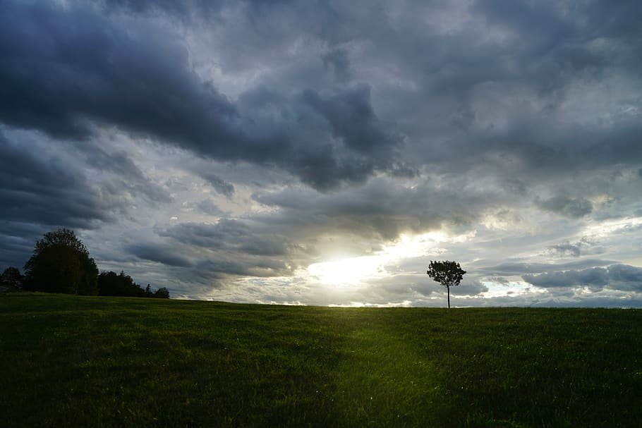 tree, clouds, forward, sunset, cloudiness, landscape, nature HD wallpaper