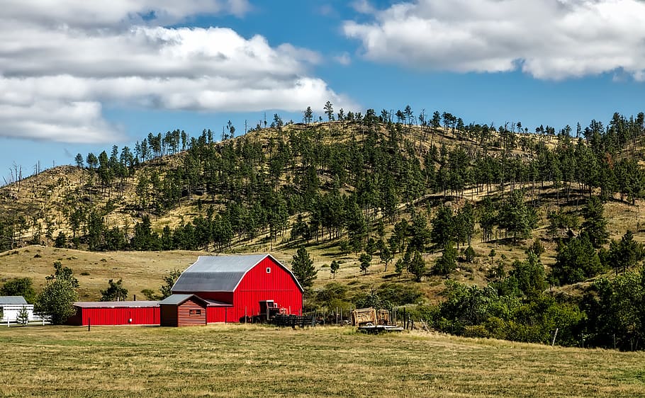 Red Wooden Shed on Farm Land, barn, clouds, cloudy, conifer, country HD wallpaper