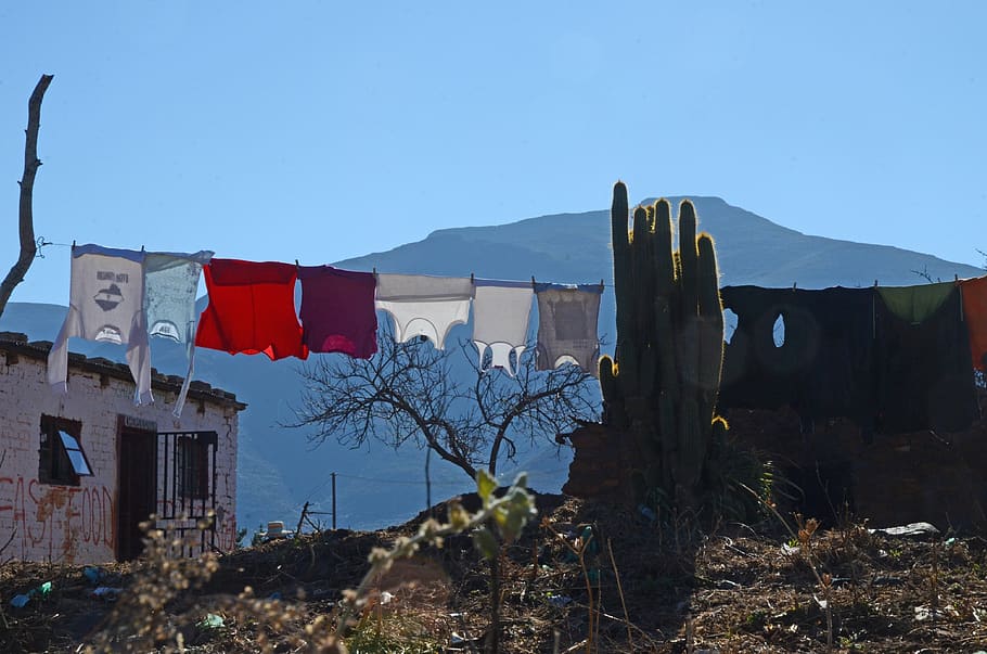 washing, mountain, sky, cactus, blue, line, laundry, outdoor HD wallpaper