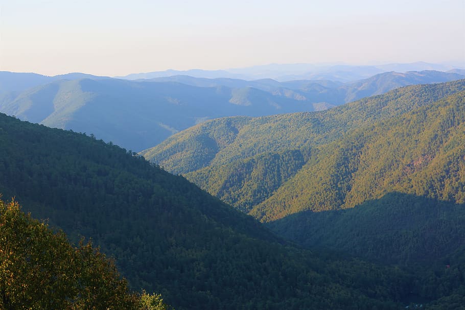 landscape, mountains, forest, nature, panorama, sky, scenics - nature HD wallpaper