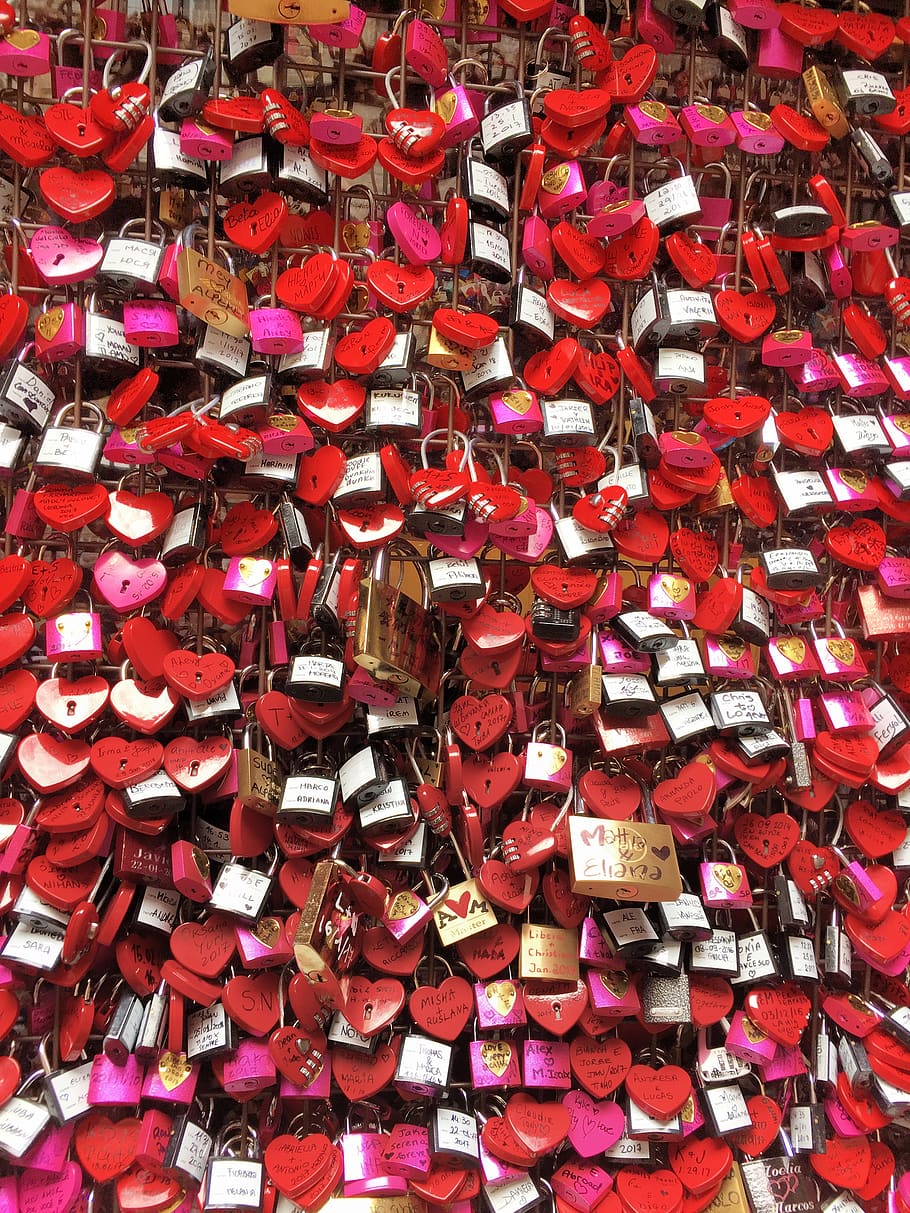 Assorted-color-shaped Padlocks Hanging on Grey Metal, bright HD wallpaper