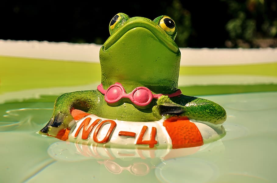 frog, figure, swim, summer, funny, cute, swimming ring, lifebelt HD wallpaper