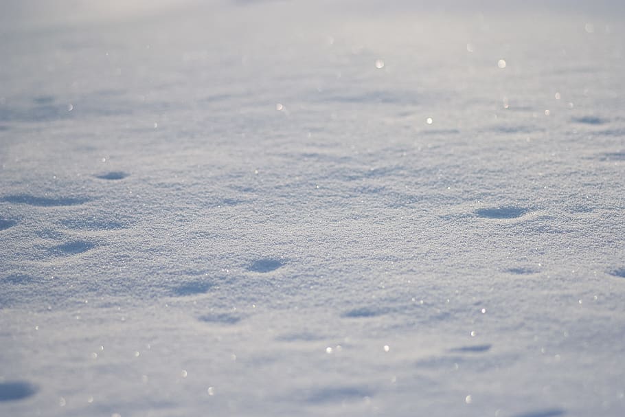 white snow, no people, day, tranquility, nature, beauty in nature HD wallpaper