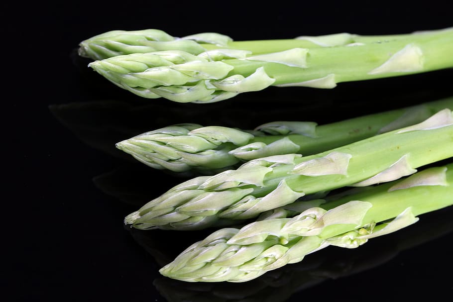 asparagus, vegetables, nature, leading, vitamin, production HD wallpaper