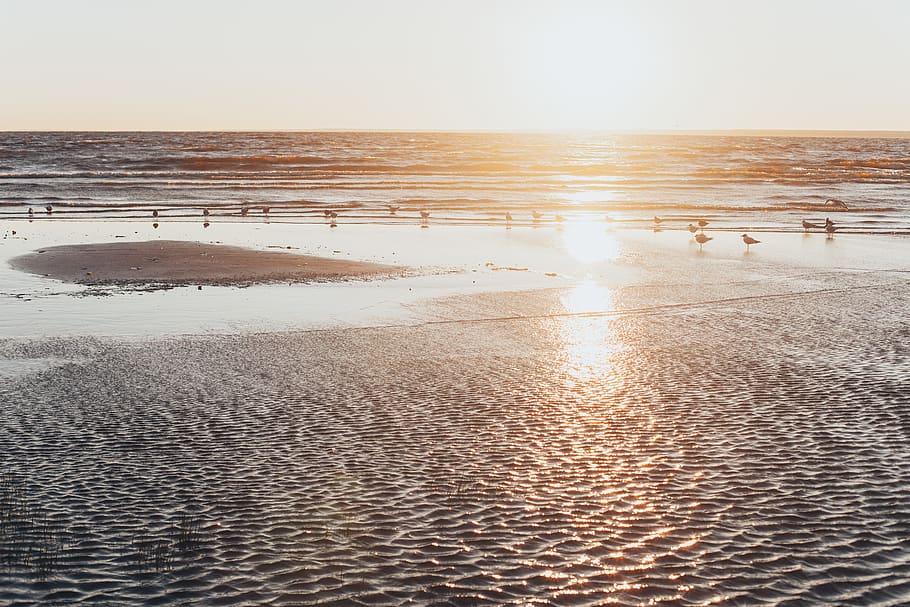 Sand and Red Sun, beach, clouds, evening, golden hour, horizon HD wallpaper