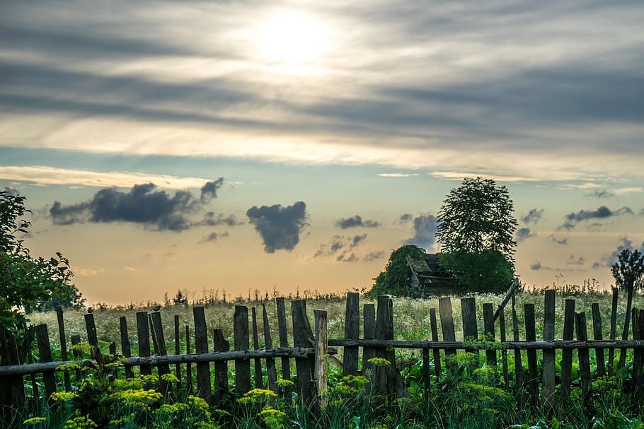 belarus, mogilev, field, tree, village, sunset, fence, sky HD wallpaper