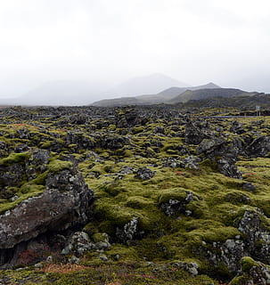grass field on rock formation, moss, plant, outdoors, nature HD wallpaper
