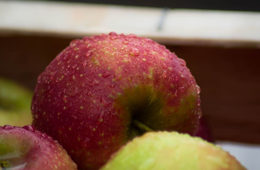 apples, fruit, fall, harvest, food and drink, freshness, healthy eating HD wallpaper