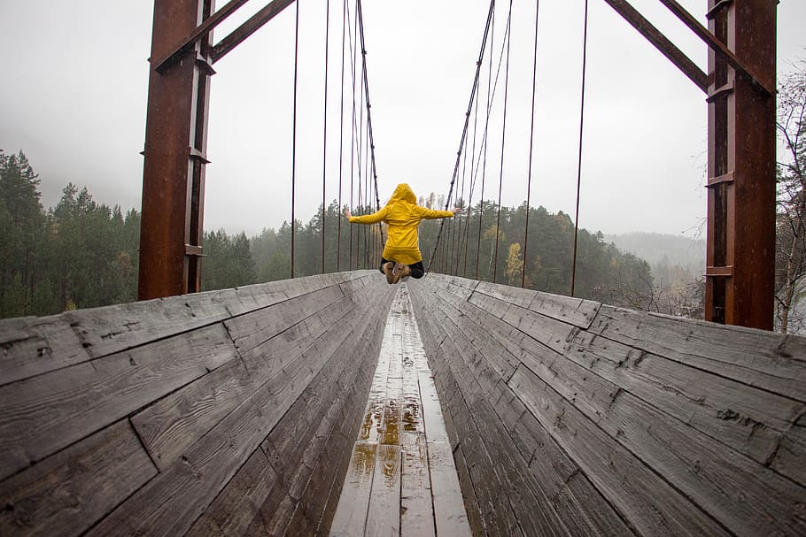 jump, rain, raincoat, bridge, trees, wood, rear view, one person, HD wallpaper