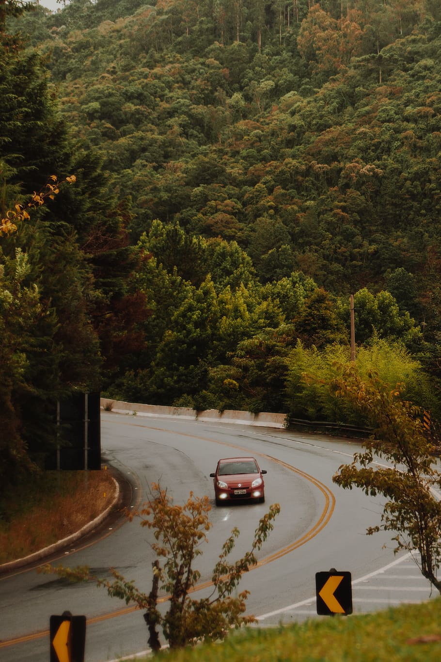Red Car Travels on the Curved Road, daylight, environment, forest HD wallpaper