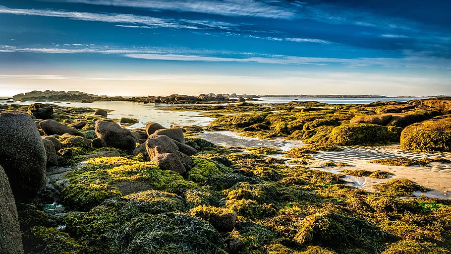 sea, beach, sand, side, rocks, nature, ocean, mullein, côtes d'armor HD wallpaper