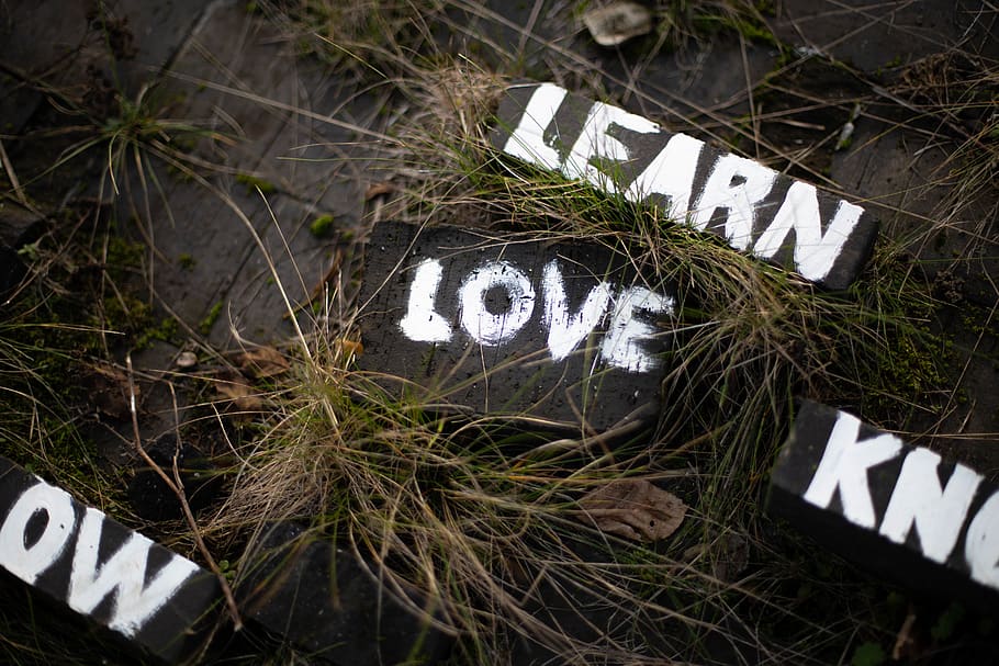 Learn and Love Paint on Soil Surrounded Grass, blocks, brick HD wallpaper