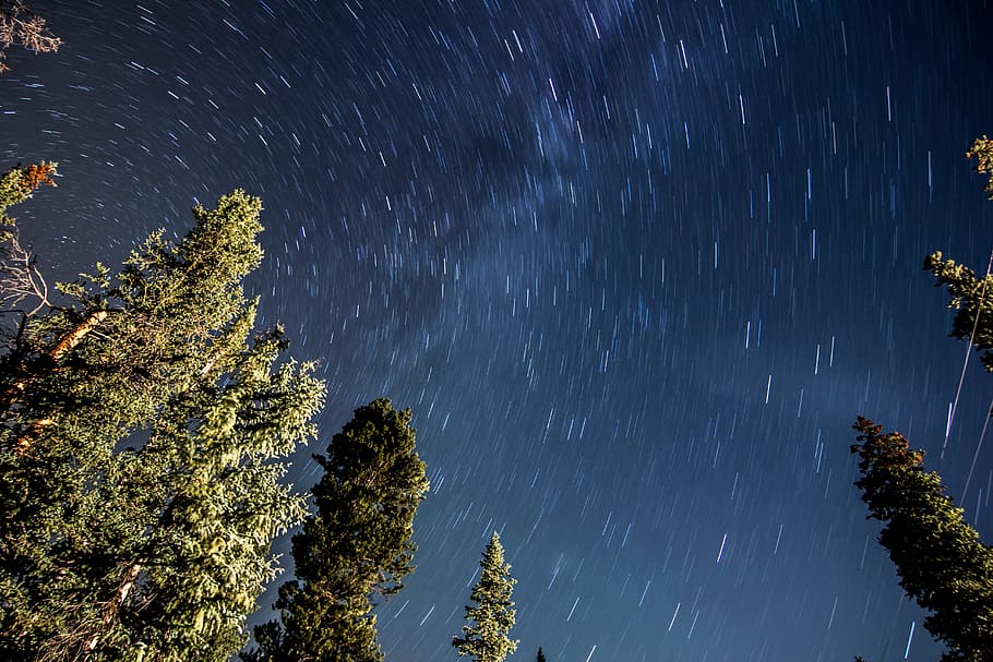 blue, sky, tree, plant, nature, atmosphere, astronomy, star - space HD wallpaper