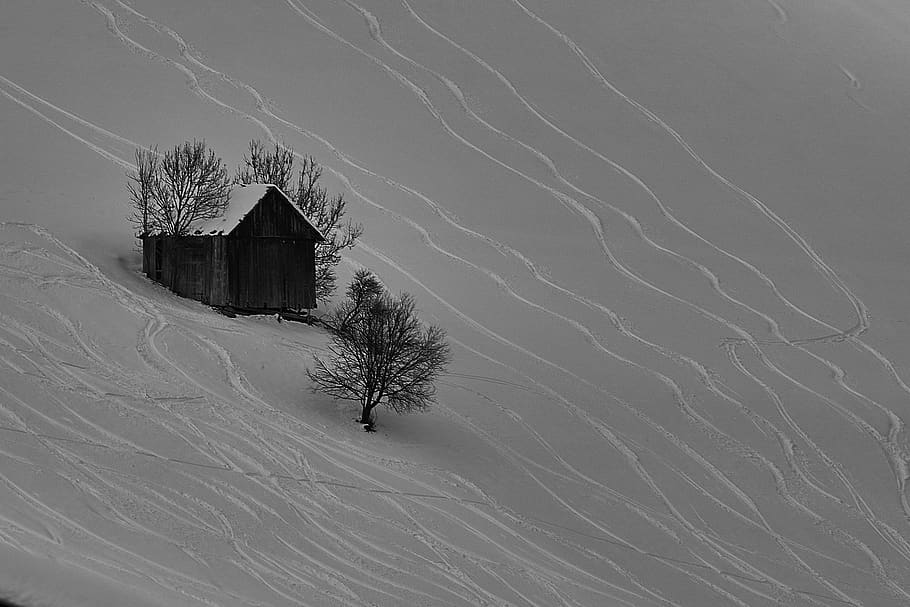 italy, kronplatz, built structure, architecture, tree, building HD wallpaper