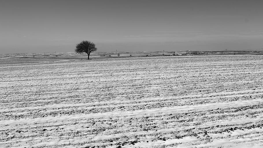 turkey, istanbul, sky, landscape, environment, field, tranquil scene HD wallpaper
