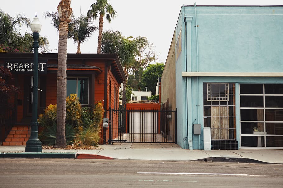 two store doors closed, united states, san diego, plant, tree HD wallpaper