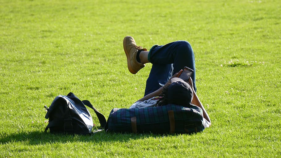 relaxing, park, summer, student, rest, peaceful, young, sleeping HD wallpaper