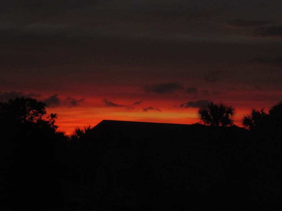 sunset, silhouette, sky, scenics - nature, tree, beauty in nature HD wallpaper