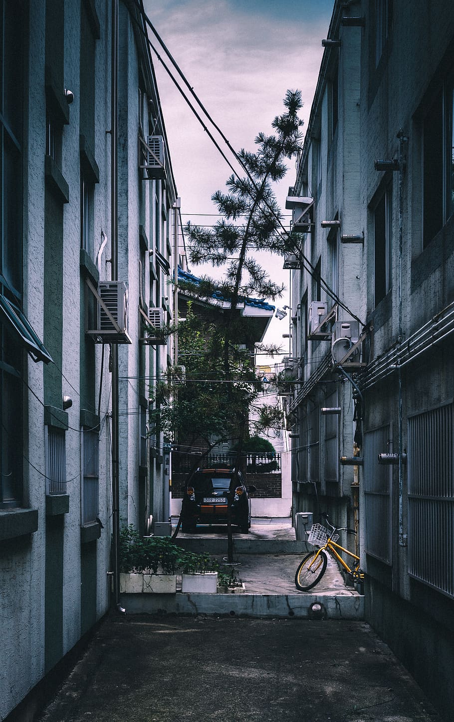 pine tree in between two buildings, architecture, building exterior HD wallpaper