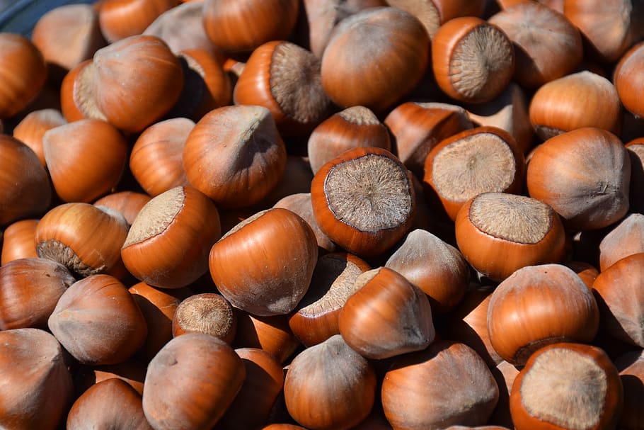 hazelnut, nuts, fruit, large group of objects, food and drink, HD wallpaper