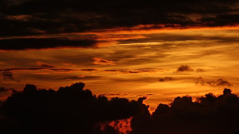 sunset, twilight, field, cloud - sky, silhouette, scenics - nature HD wallpaper