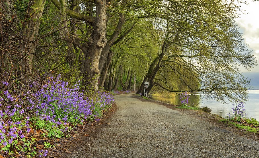 lake, spring, nature, landscape, water, relaxation, greece HD wallpaper