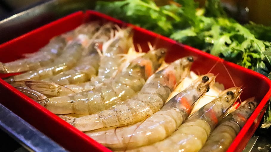 shrimp, people's republic of china, food, dining, seafood, the local scum, HD wallpaper