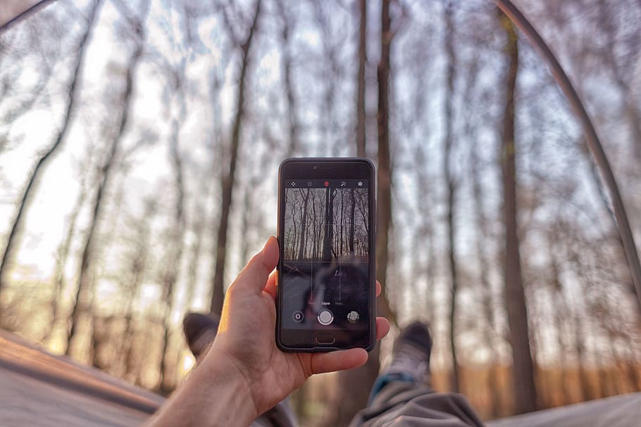 trees, forest, tent, phone, technology, human hand, wireless technology HD wallpaper