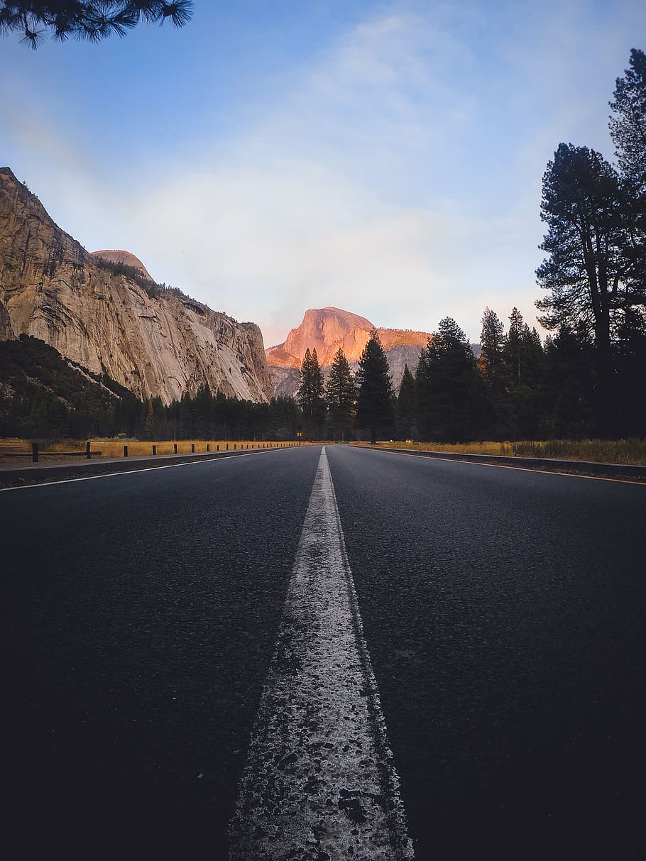 empty concrete road beside trees, asphalt, tarmac, united states HD wallpaper