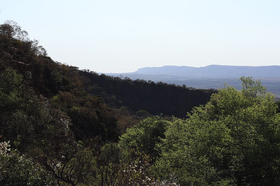 forest, wild, wilderness, trees, mountains, african, landscape HD wallpaper