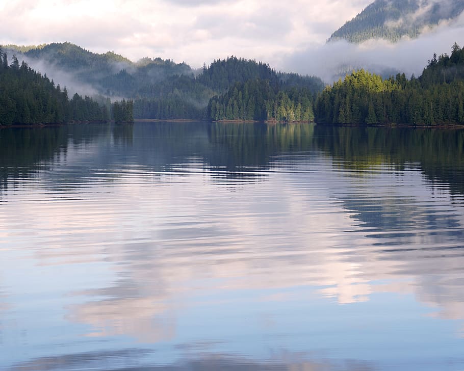alaska, reflections, landscape, scenic, mountains, water, tree HD wallpaper