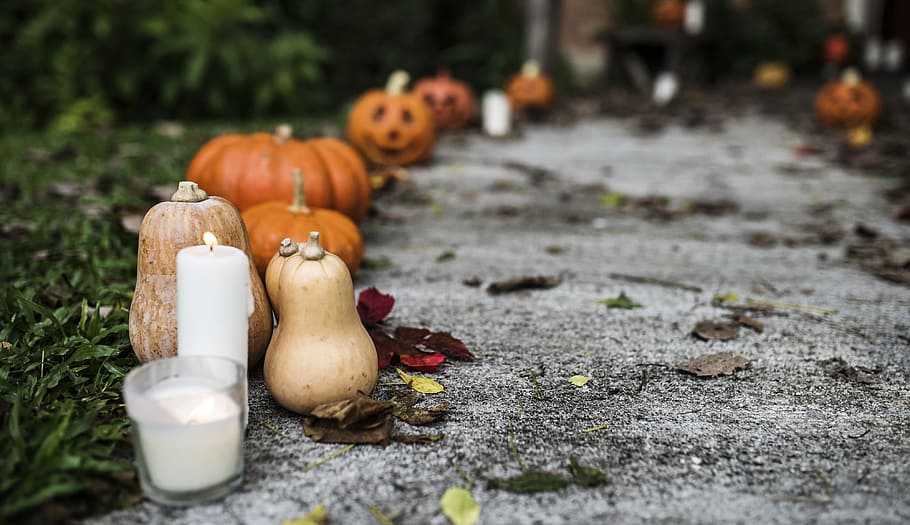 pumpkin, candle, ground, path, leaf, bokeh, blur, united state HD wallpaper
