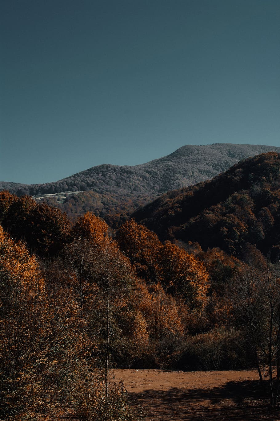 sky, mountain, plant, scenics - nature, tree, no people, autumn HD wallpaper