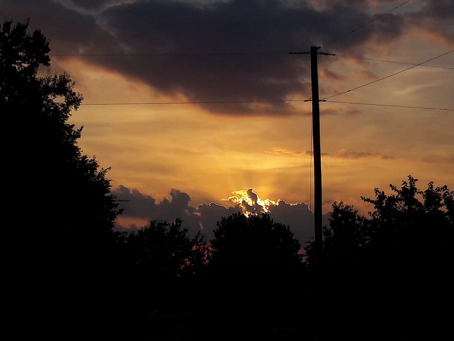 tree, sky, silhouette, cloud - sky, sunset, plant, beauty in nature HD wallpaper
