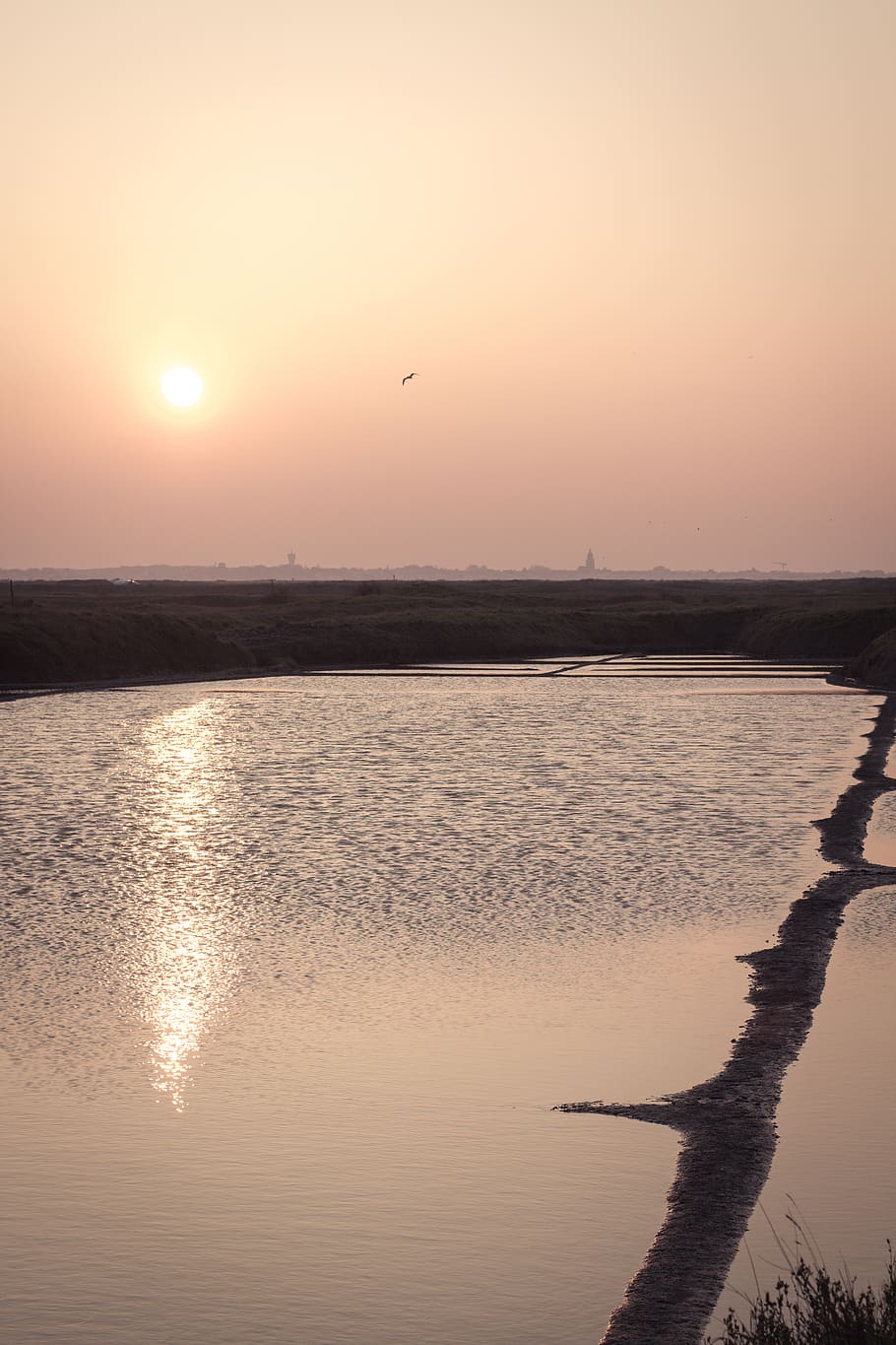 france, guérande, sunset, sky, water, beauty in nature, reflection HD wallpaper