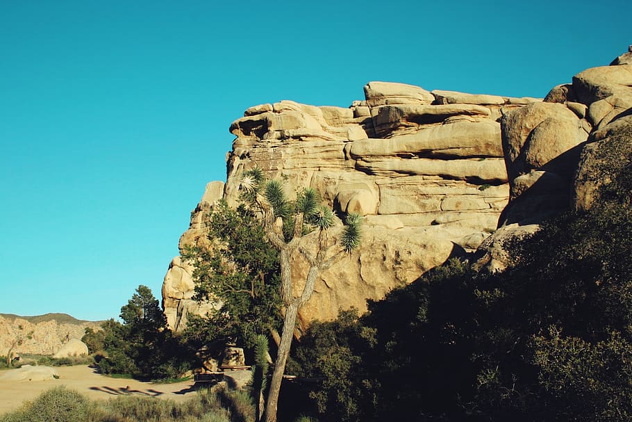 nature, outdoors, mesa, joshua tree national park, cliff, scenery, HD wallpaper