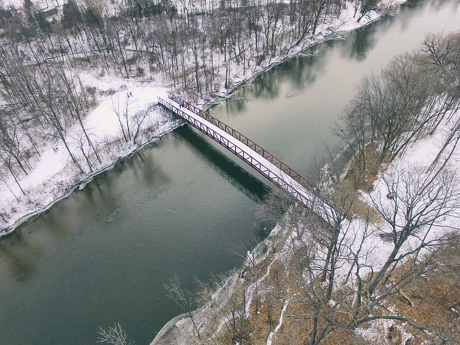 bridge on river, water, tree, winter, high angle view, plant HD wallpaper